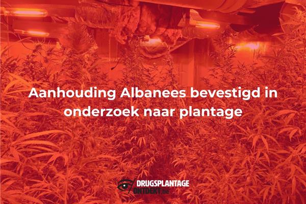 Balen-Dessel-Mol - Aanhouding Albanees bevestigd in onderzoek naar plantage
